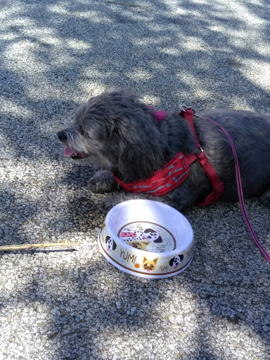 Pet Supply Store «PetSmart», reviews and photos, 1460 Koester Rd, Forsyth, IL 62535, USA