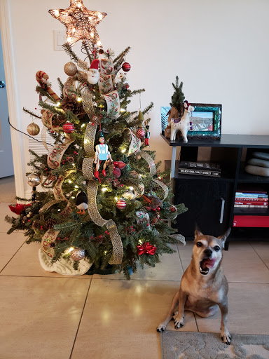 Craft Store «Michaels», reviews and photos, 2021 Okeechobee Blvd, West Palm Beach, FL 33409, USA