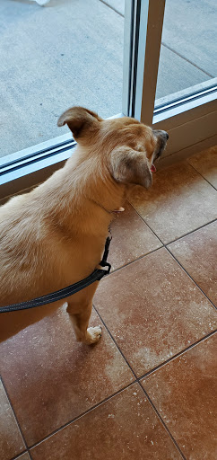 Pet Supply Store «PetSmart», reviews and photos, 3101 Market Center Drive, Morrisville, NC 27560, USA