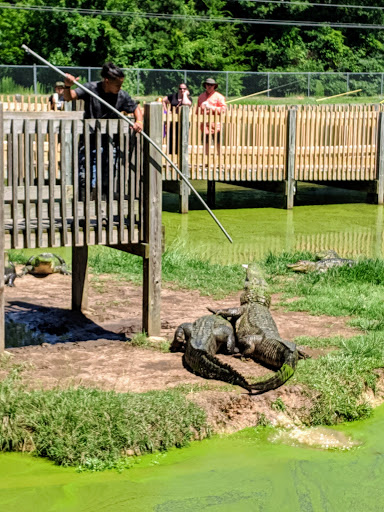 Zoo «Gators and Friends», reviews and photos, 11441 US-80, Greenwood, LA 71033, USA