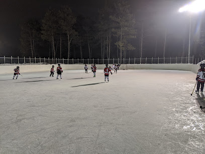 Zimmerman Ice Skating Rinks