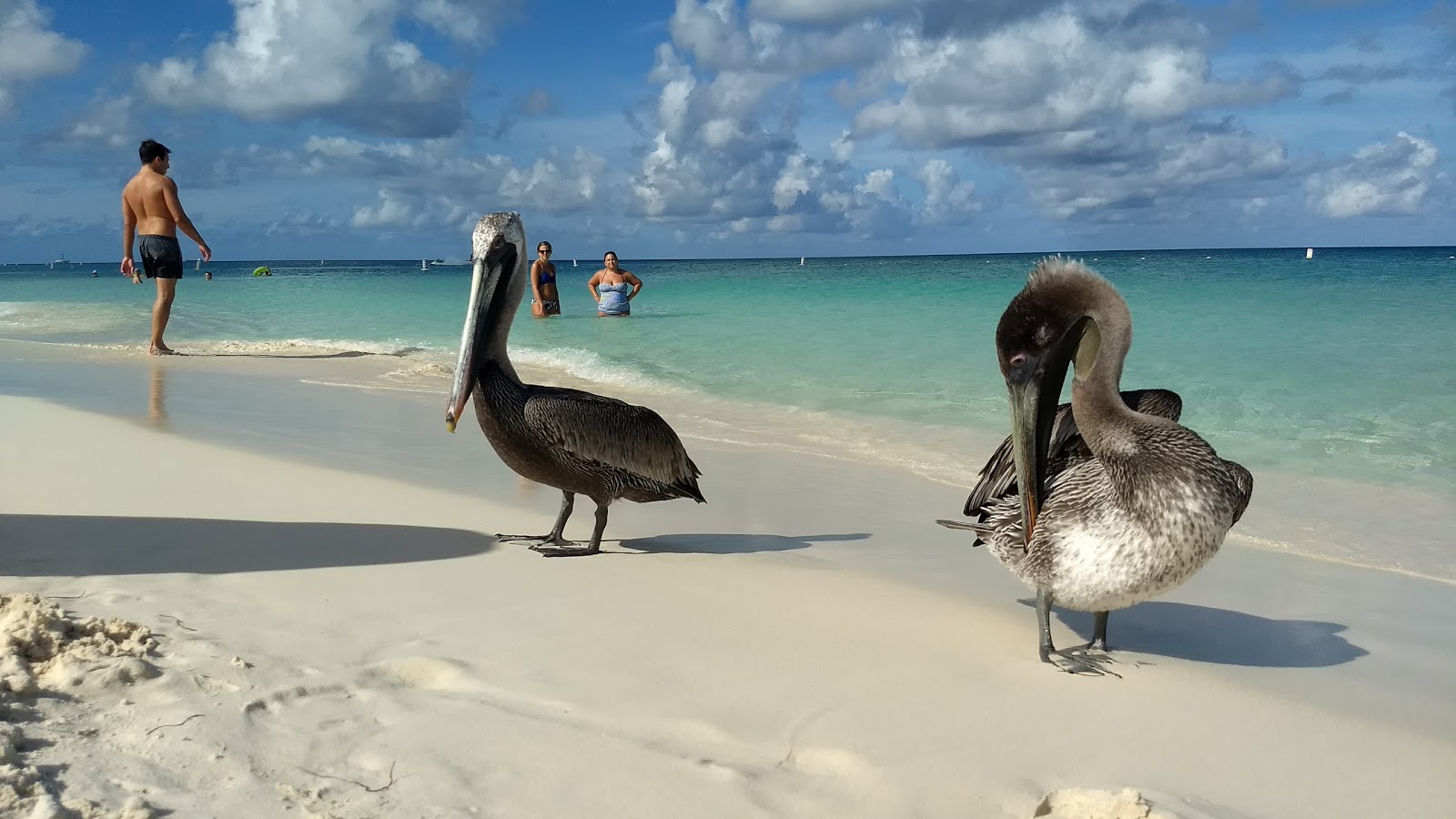 Photo of Eagle Beach with straight shore