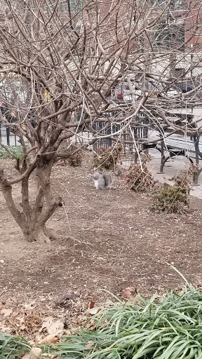 Park «Park Of The Americas», reviews and photos, 42nd Ave & 104th Street, Corona, NY 11368, USA