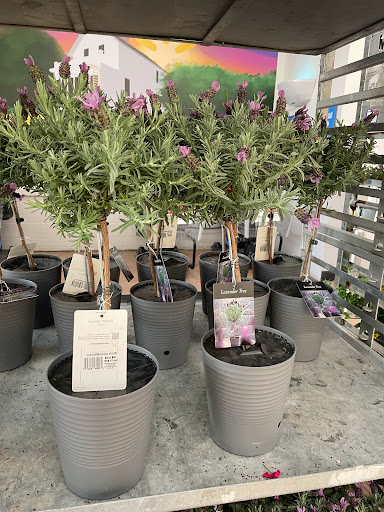 Department Store «Walmart Supercenter», reviews and photos, 100 SE 29th St, Grand Rapids, MN 55744, USA