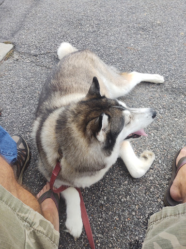 Pet Supply Store «Care-A-Lot Pet Supply Indian River», reviews and photos, 5457 Indian River Rd, Virginia Beach, VA 23464, USA