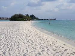Falhumaafushi Resort Beach'in fotoğrafı - rahatlamayı sevenler arasında popüler bir yer