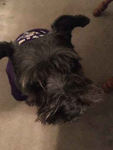 Pet Supply Store «Pet Valu», reviews and photos, 3491 Merchant Boulevard, Abingdon, MD 21009, USA