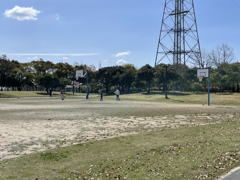 諏訪公園バスケットコート