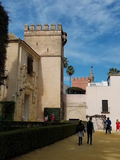 Residencia de estudiantes Student Living - Sevilla