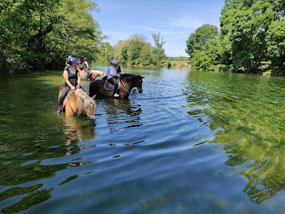 Equitation Chavetourte à Saint-Alban-Auriolles
