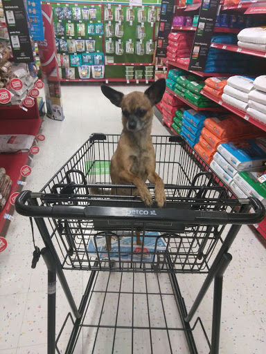 Pet Supply Store «Petco Animal Supplies», reviews and photos, 12014 SW 88th St, Miami, FL 33186, USA