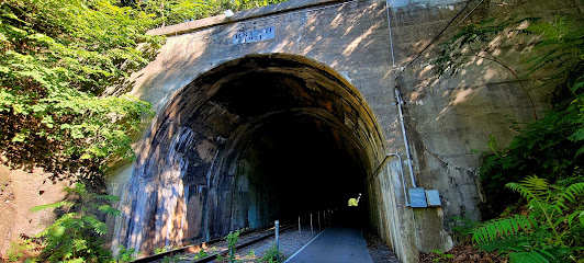 Brush Tunnel