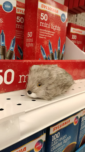 Fabric Store «Jo-Ann Fabrics and Crafts», reviews and photos, 9685 Jefferson Davis Hwy, Fredericksburg, VA 22407, USA