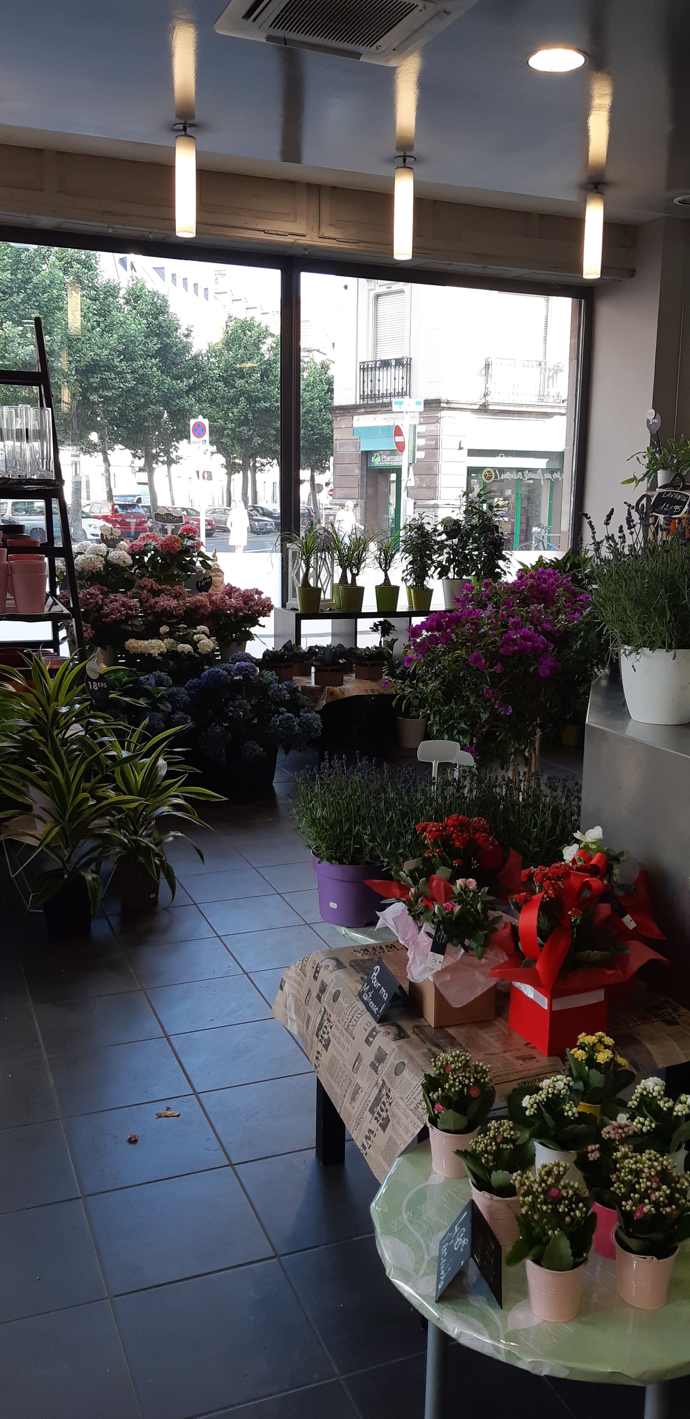 Photo n° 18 de l'avis de Del.t fait le 06/07/2019 à 07:39