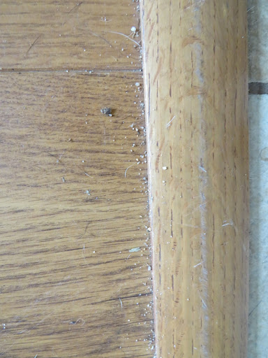 House Cleaning Service «Two Maids & A Mop», reviews and photos, 119 Hollywood Blvd SW #206, Fort Walton Beach, FL 32548, USA