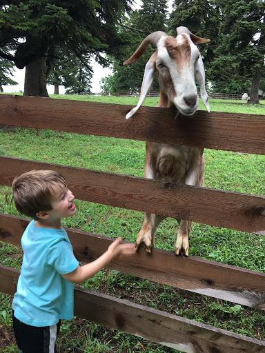 Farm «Coverdale Farm Preserve of Delaware Nature Society», reviews and photos, 543 Way Rd, Greenville, DE 19807, USA