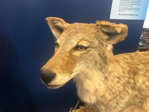 Thrift Store «Discover Goodwill Pueblo Retail Center», reviews and photos