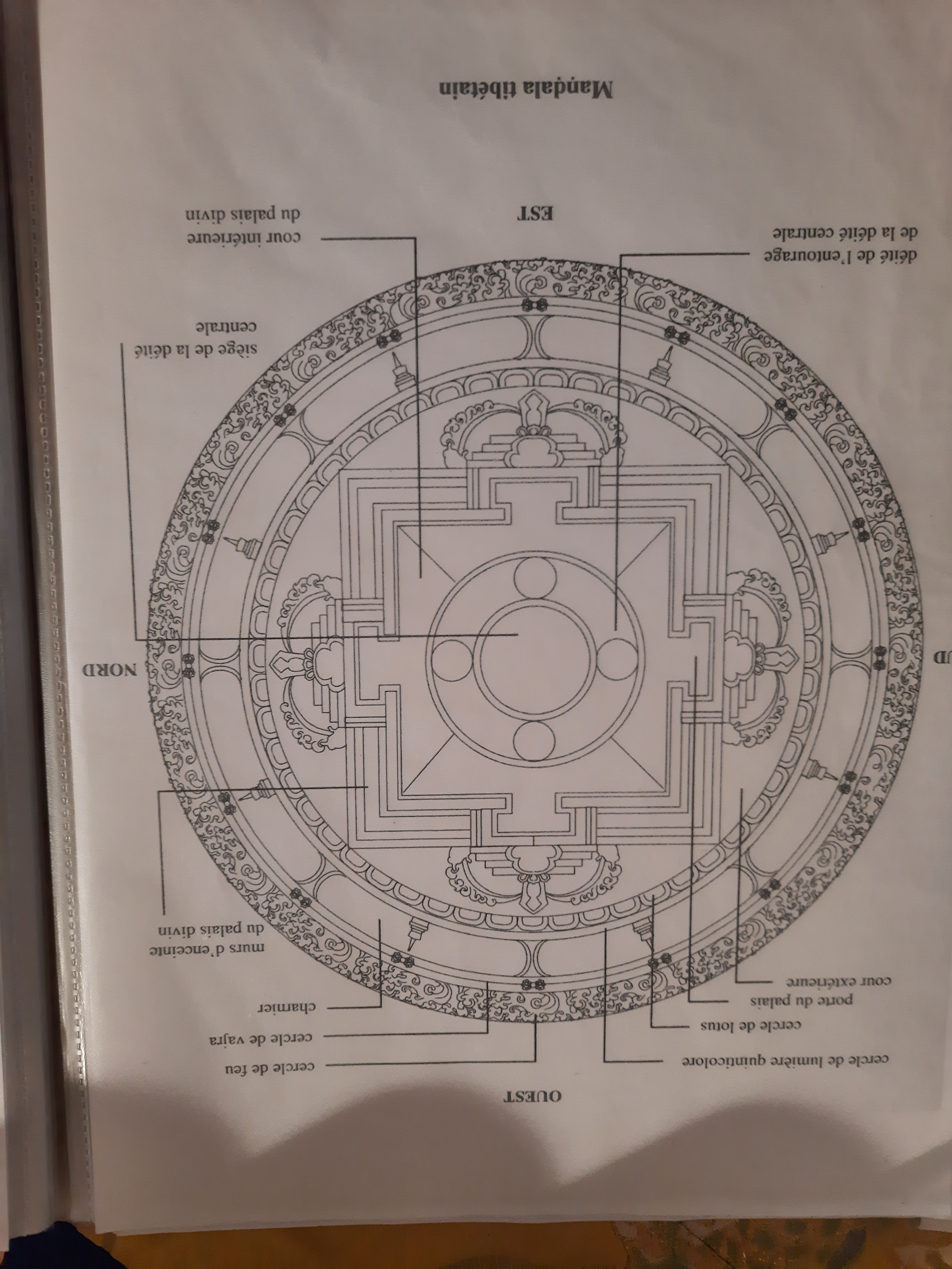 Photo n° 12 de l'avis de Corinne.e fait le 16/07/2022 à 04:45