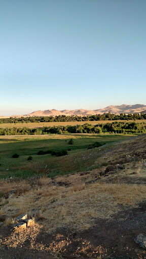 Tule Campground image