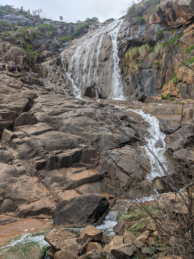 Lesmurdie Falls National Park