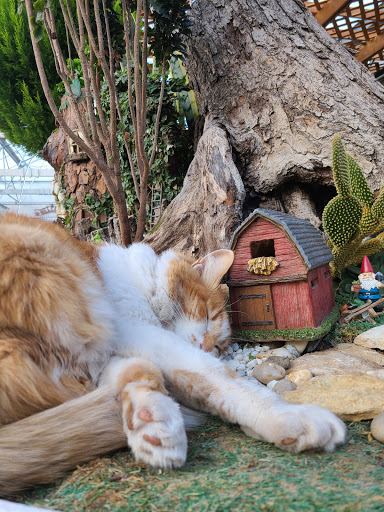 Greenhouse «Rose Floral & Greenhouse», reviews and photos, 14298 60th St N, Stillwater, MN 55082, USA