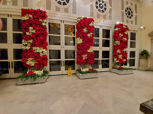 Park «Percy Warner Park», reviews and photos, 7311 Tennessee 100, Nashville, TN 37221, USA