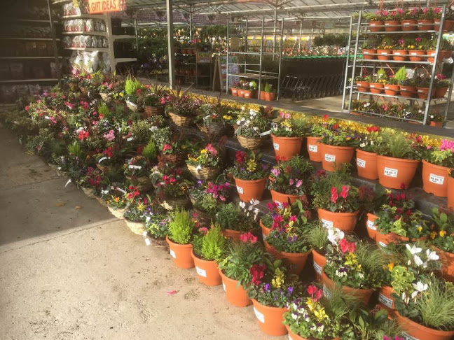 Reviews of Plants Galore in Plymouth - Landscaper