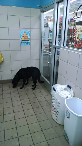 Pet Supply Store «Pet Supplies Plus», reviews and photos, 61 Irving Park Rd, Streamwood, IL 60107, USA