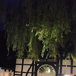 Photo n°2 de l'avis de Mel.e fait le 29/07/2023 à 00:47 sur le  Restaurant Georgios à Detmold