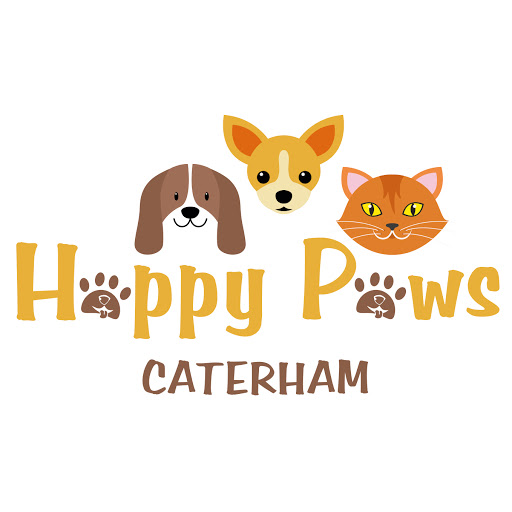Happy Paws Caterham Dog Day Care, Dog Walker, Home Boarding and Small
