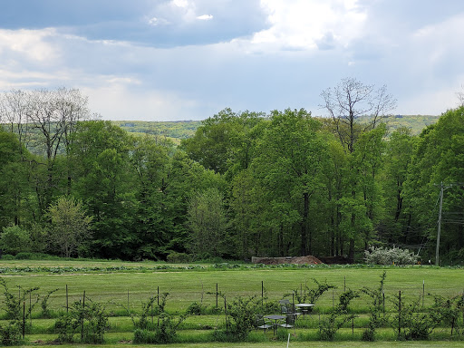 Farm «White Silo Farm & Winery», reviews and photos, 32 CT-37, Sherman, CT 06784, USA