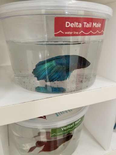 Pet Supply Store «Petco Animal Supplies», reviews and photos, 13127 N Dale Mabry Hwy, Tampa, FL 33618, USA