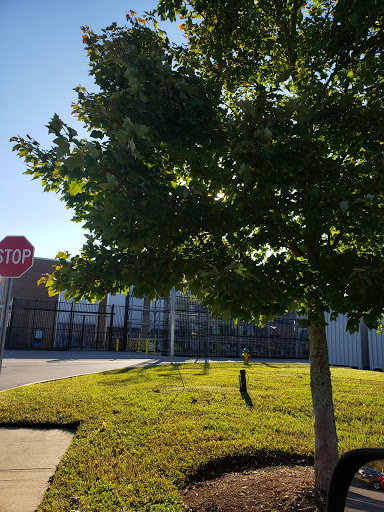 Video Game Store «GameStop Premier», reviews and photos, 300 Pleasant Grove Rd #465, Mt Juliet, TN 37122, USA