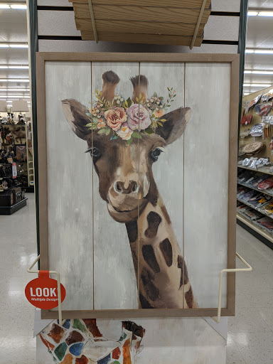 Craft Store «Hobby Lobby», reviews and photos, 280 McMahan Blvd, Marion, OH 43302, USA
