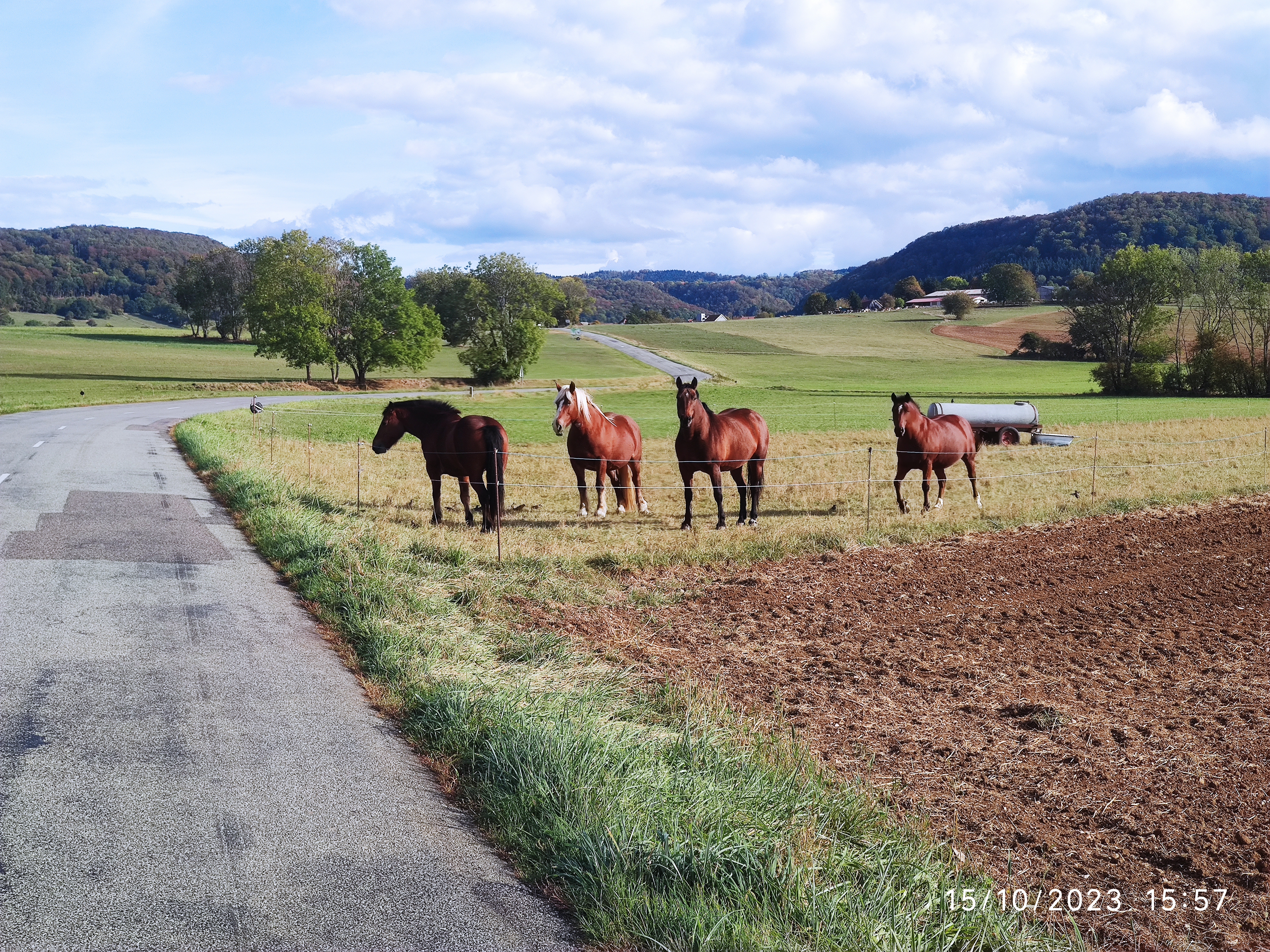 Photo n° 44 de l'avis de Patrick.i fait le 12/12/2023 à 10:07