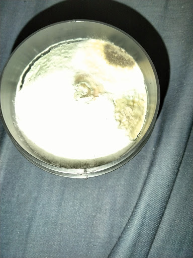 Cosmetics Store «Lush Cosmetics», reviews and photos, 101 Jordan Creek Pkwy #11273, West Des Moines, IA 50266, USA