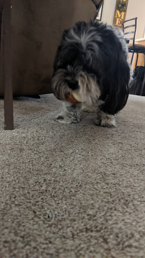 Pet Supply Store «Three Dog Bakery Inc», reviews and photos, 13904 Town Center Blvd # 200, Noblesville, IN 46060, USA