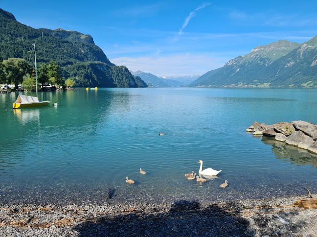 Camping Seebucht Brienz - Campingplatz