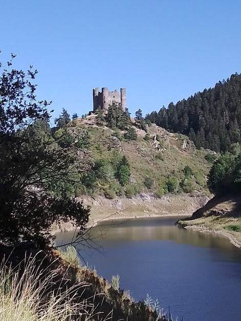 Auberge du Château d'Alleuze à Alleuze (Cantal 15)