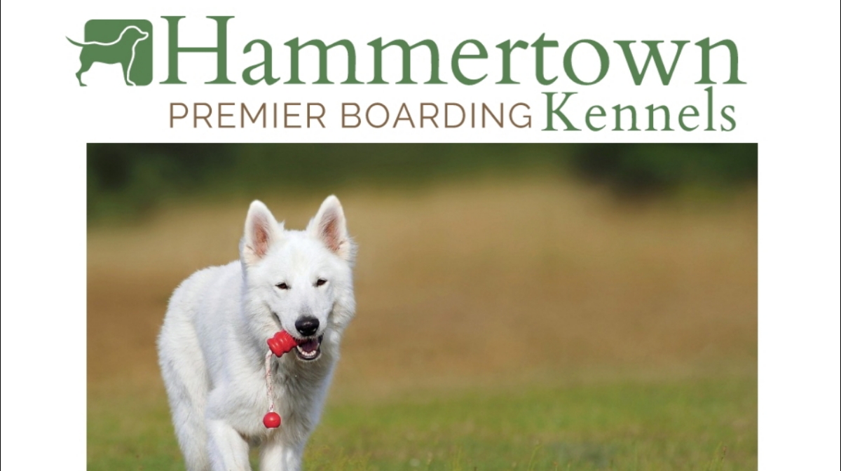 Hammertown Kennels Dog Boarding
