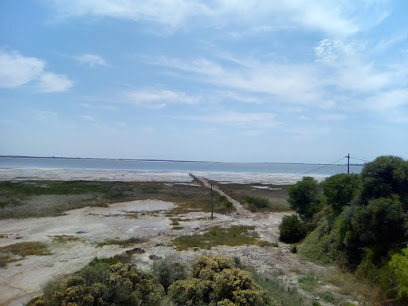 Laguna de Plata