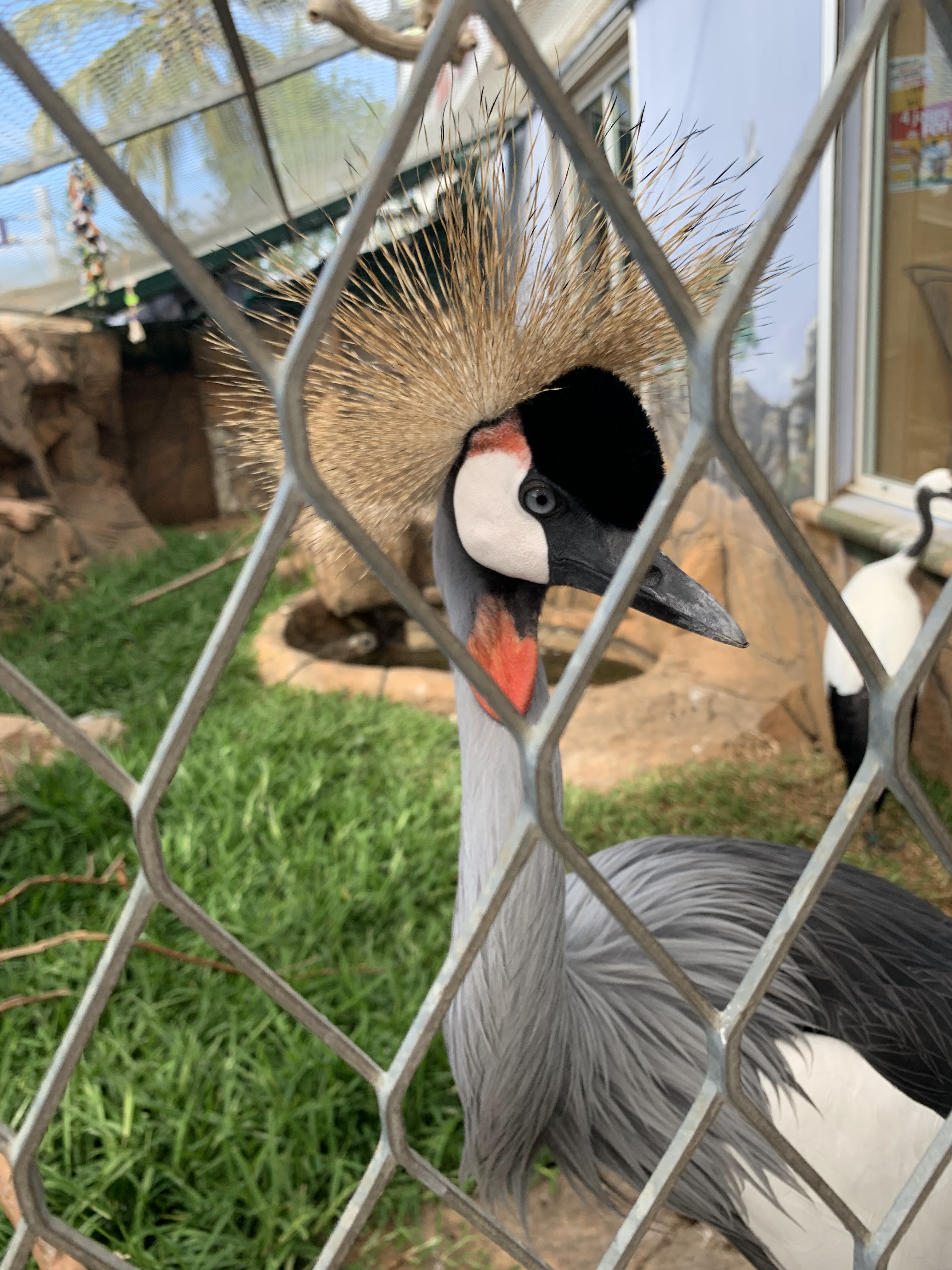 Photo n° 1 de l'avis de Family.L fait le 01/06/2019 à 10:24