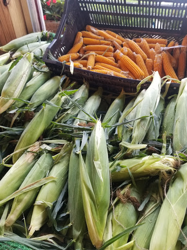 Farm «Alstede Farms», reviews and photos, 1 Alstede Farms Ln, Chester, NJ 07930, USA