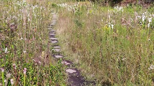 Piney Ridge Nature Preserve - photo 9