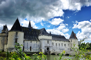 Château du Plessis-Bourré image
