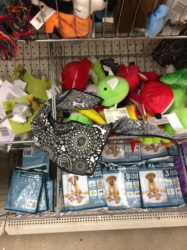 Dollar Store «Dollar Tree», reviews and photos, 1952 State Rd 44, New Smyrna Beach, FL 32168, USA