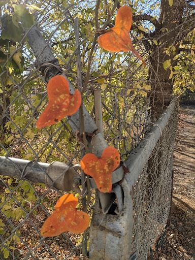 Paint Store «Kelly-Moore Paints», reviews and photos, 303 W Hurst Blvd, Hurst, TX 76053, USA