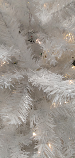 Home Improvement Store «The Home Depot», reviews and photos, 30144 US Hwy 19 N, Clearwater, FL 33761, USA