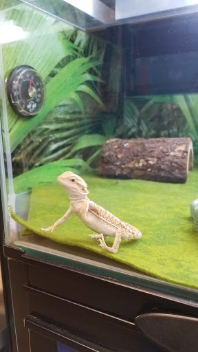 Pet Supply Store «PetSmart», reviews and photos, 5241 Monroe St, Toledo, OH 43623, USA