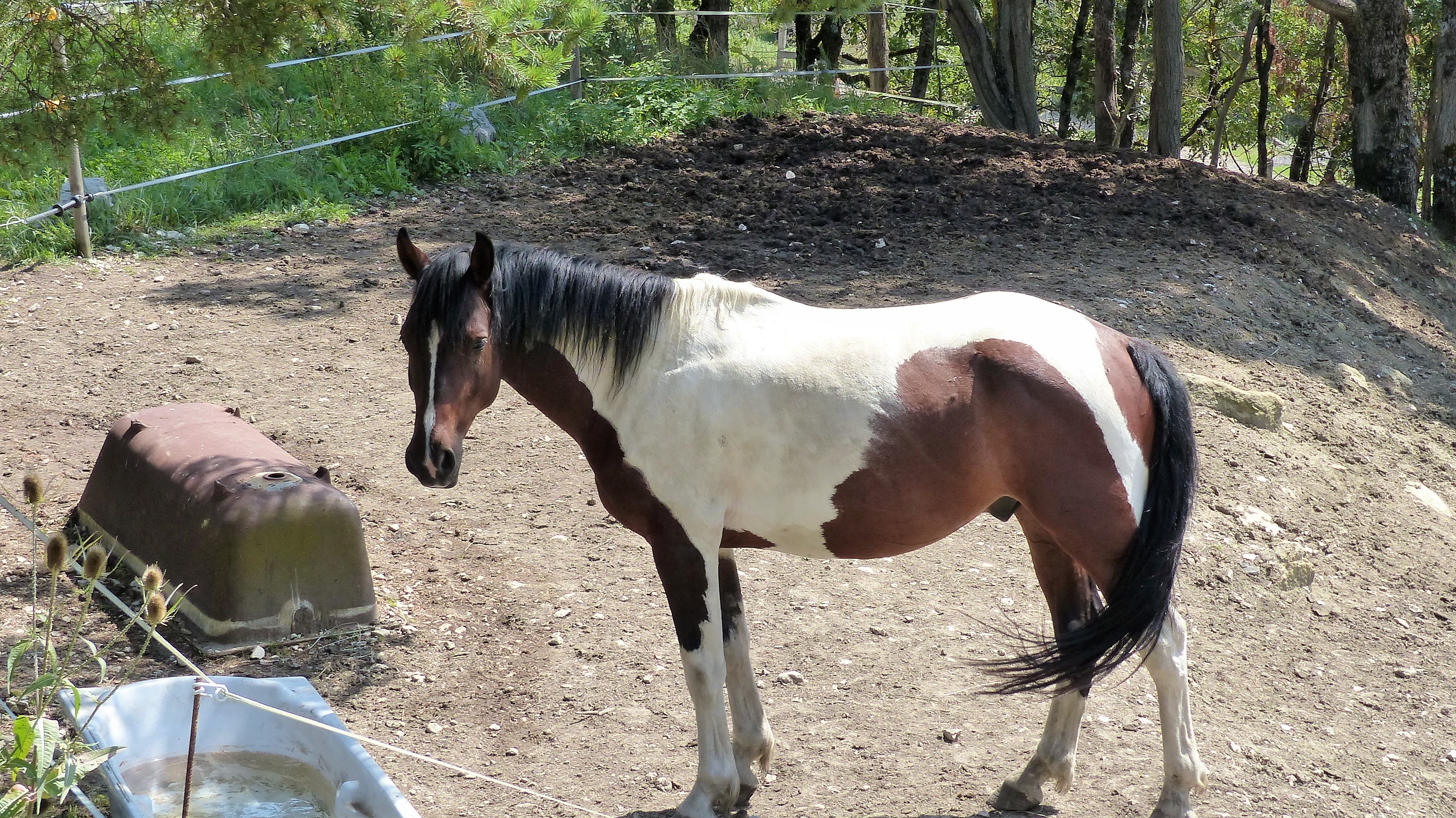 Photo n° 2 de l'avis de Sylvie.a fait le 26/08/2018 à 16:08